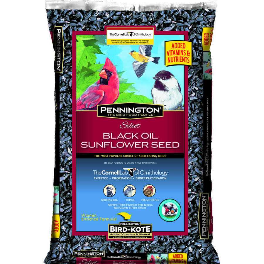 Pennington Select Black Oil Sunflower Seed Wild Bird Feed - Healthber