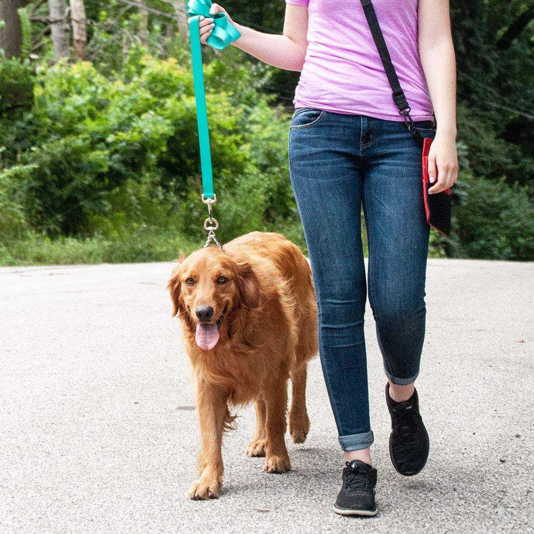 Herm Sprenger Ultra-Plus Dog Prong Training Collar - Healthber