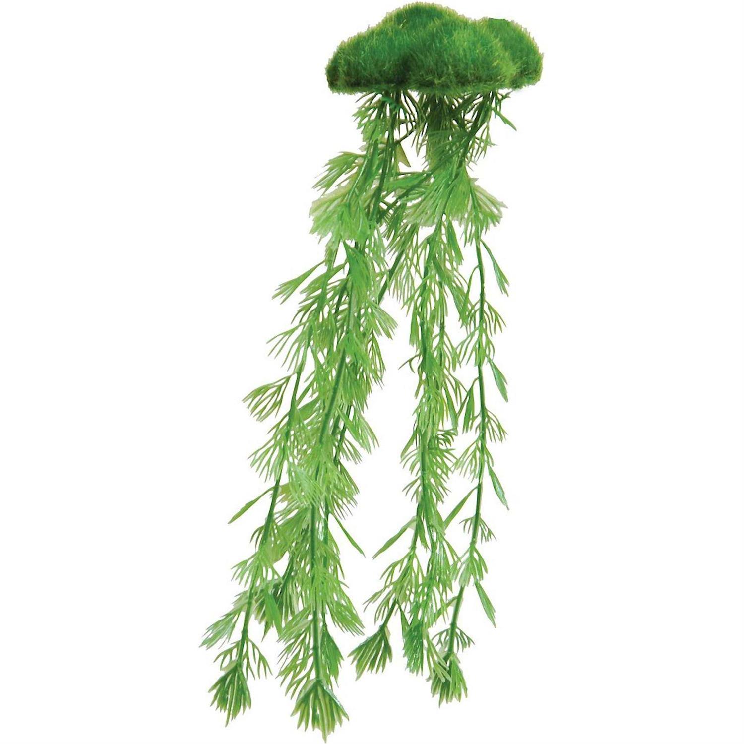 Underwater Treasures Floating Moss with Roots - Healthber