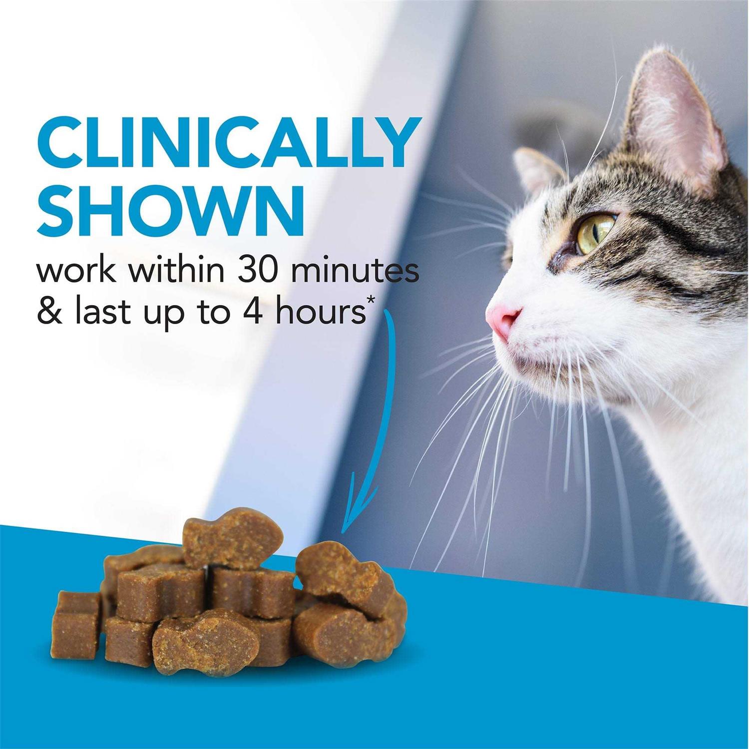 VetriScience Composure for Cats - Healthber