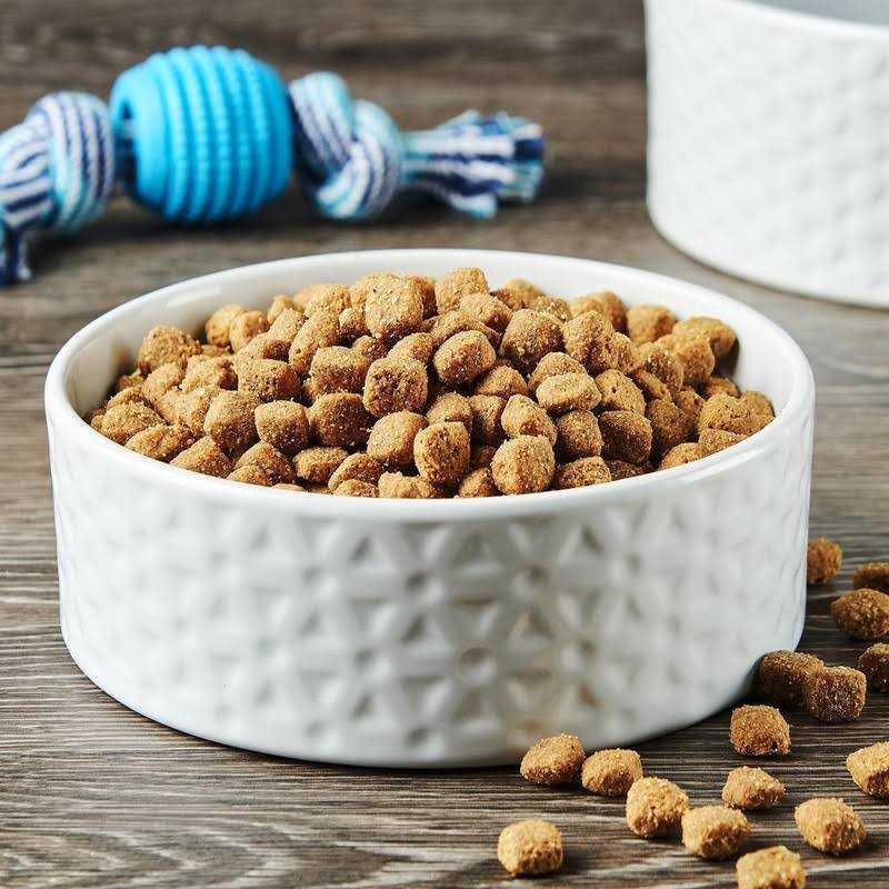 Ol’ Roy Complete Nutrition Roasted Chicken & Rice Flavor Dry Dog Food - Healthber