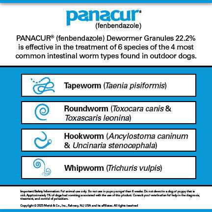 Panacur Canine Granules 22.2% - Healthber