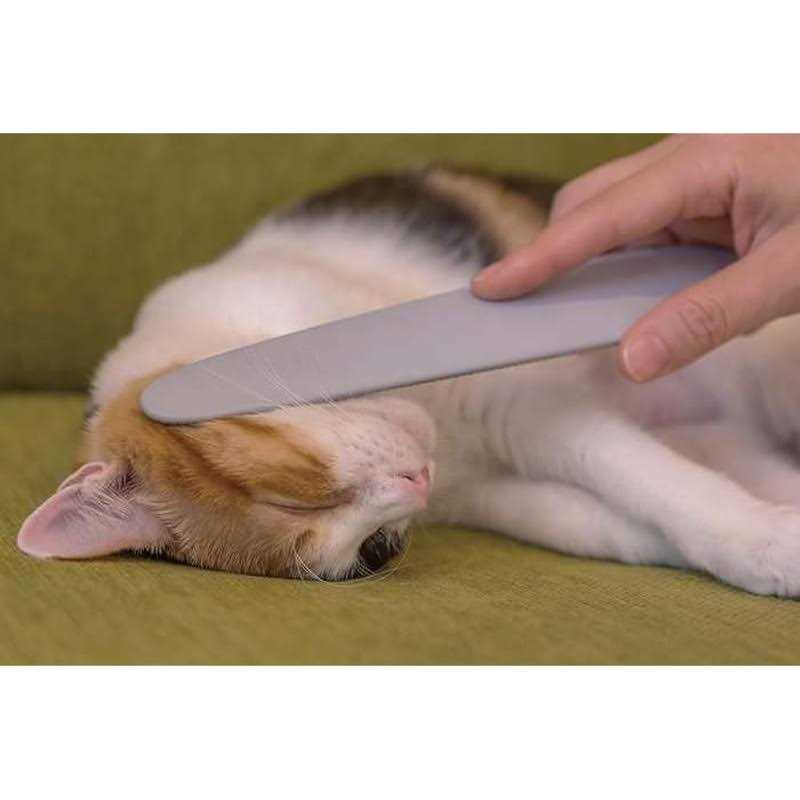 Wataoka The Nekojasuri Cat Groomer - Healthber