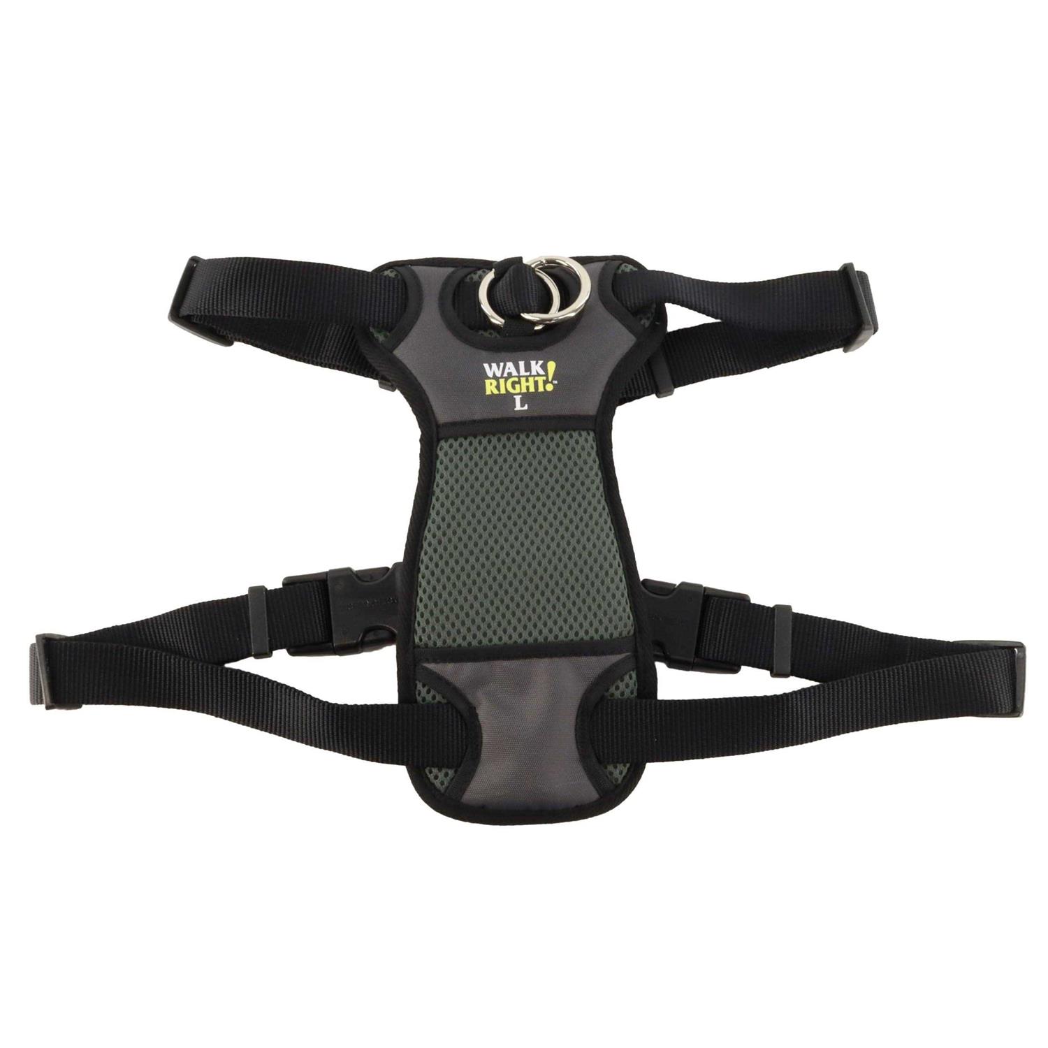 Coastal Pet Walk Right Padded Harness - Healthber