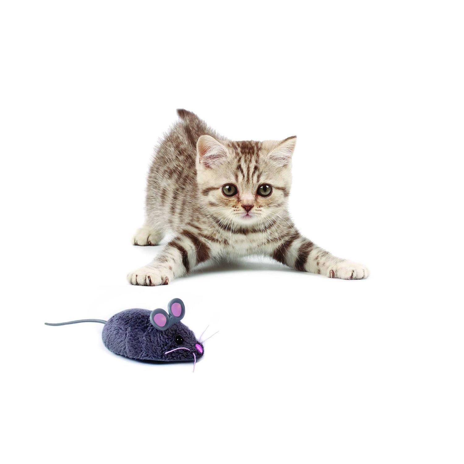 Hexbug Mouse Robotic Cat Toy - Healthber
