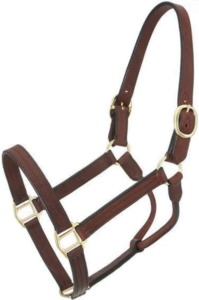 Royal King Preakness Leather Track Horse Halter - Healthber