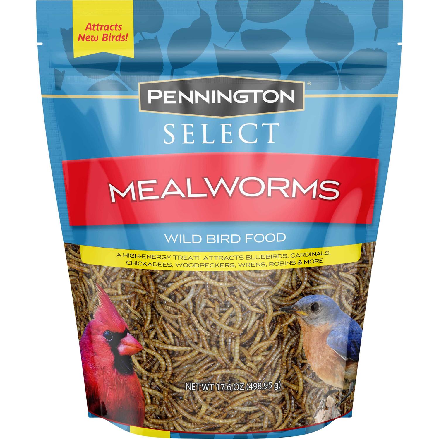 Pennington Mealworms Wild Bird Food - Healthber