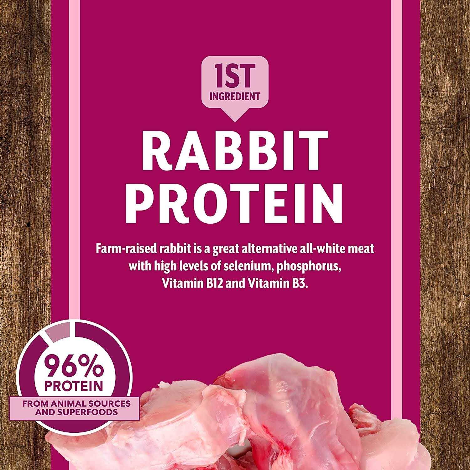 Earthborn Holistic Venture Grain Free Rabbit Meal Pumpkin Dry Dog Food - Healthber
