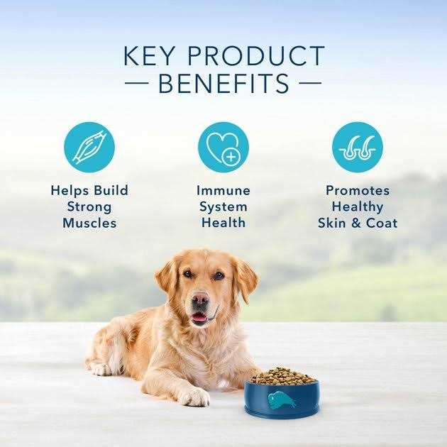 Blue Buffalo Life Protection Formula Healthy Weight Small Breed Adult Chicken & Brown Rice Recipe Dry Dog Food - Healthber