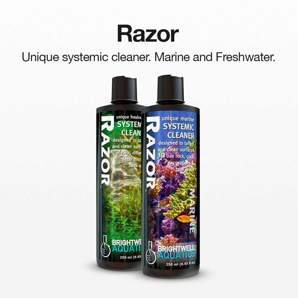 Brightwell Aquatics Razor Marine - Healthber