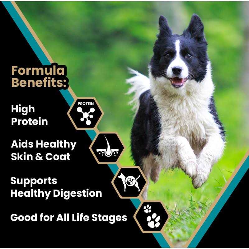 Victor Hi-Pro Plus Dry Dog Food - Healthber