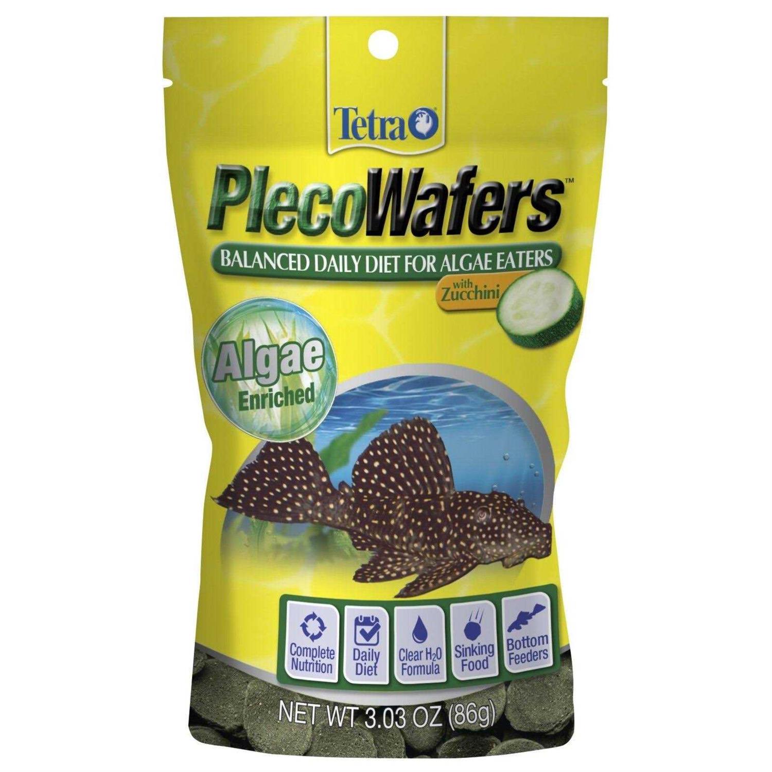 Tetra Algae Eaters - Healthber