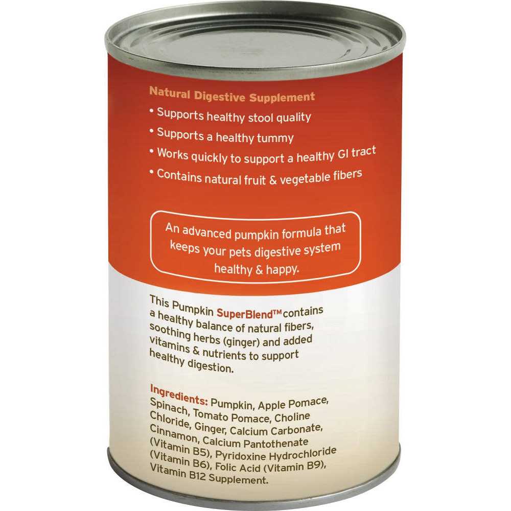 Fruitables Pumpkin Digestive Supplement - Healthber