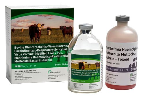 RespiVax 5 + PH-M - Healthber