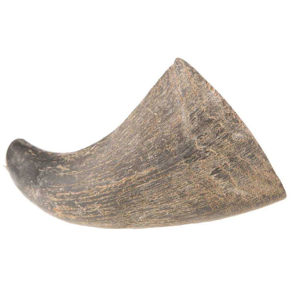 QT Dog Water Buffalo Horn Small - Healthber