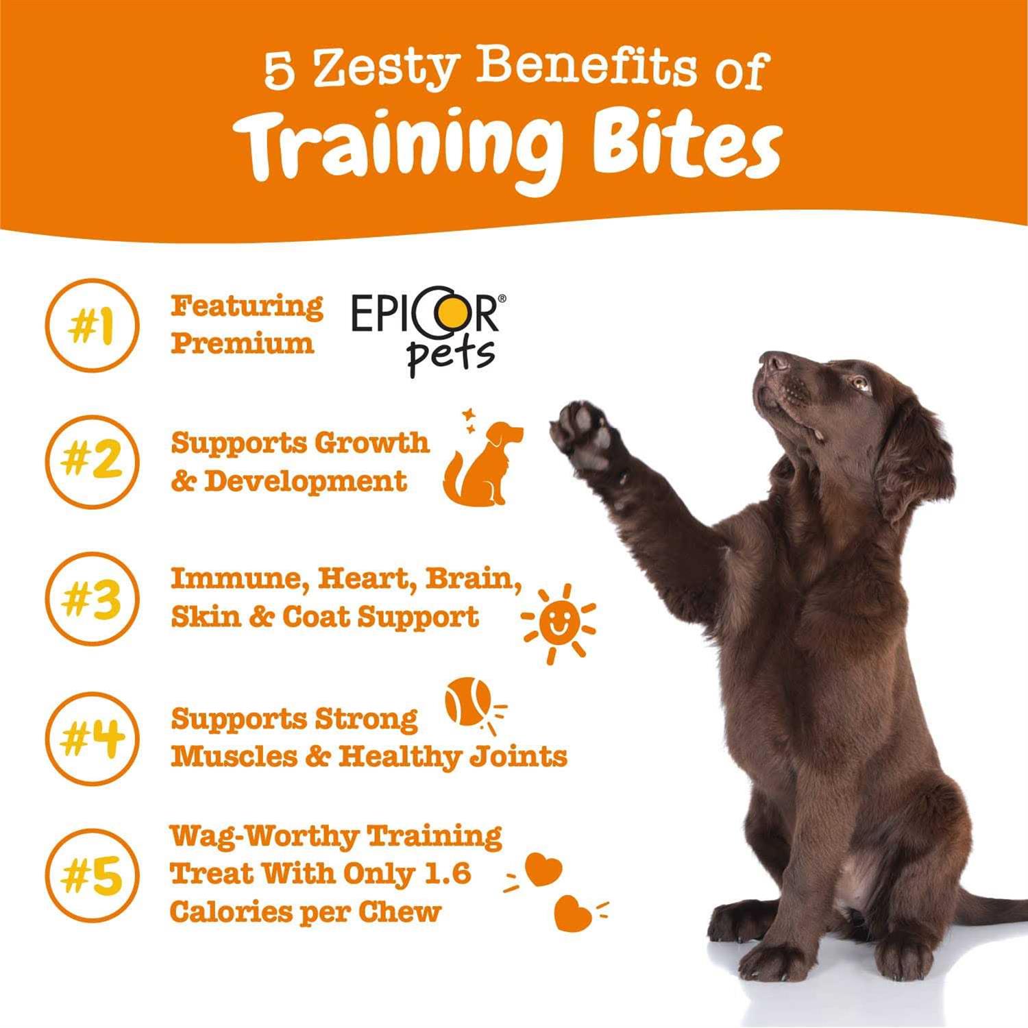 Zesty Paws All-in-One Training Treats for Dogs - Healthber