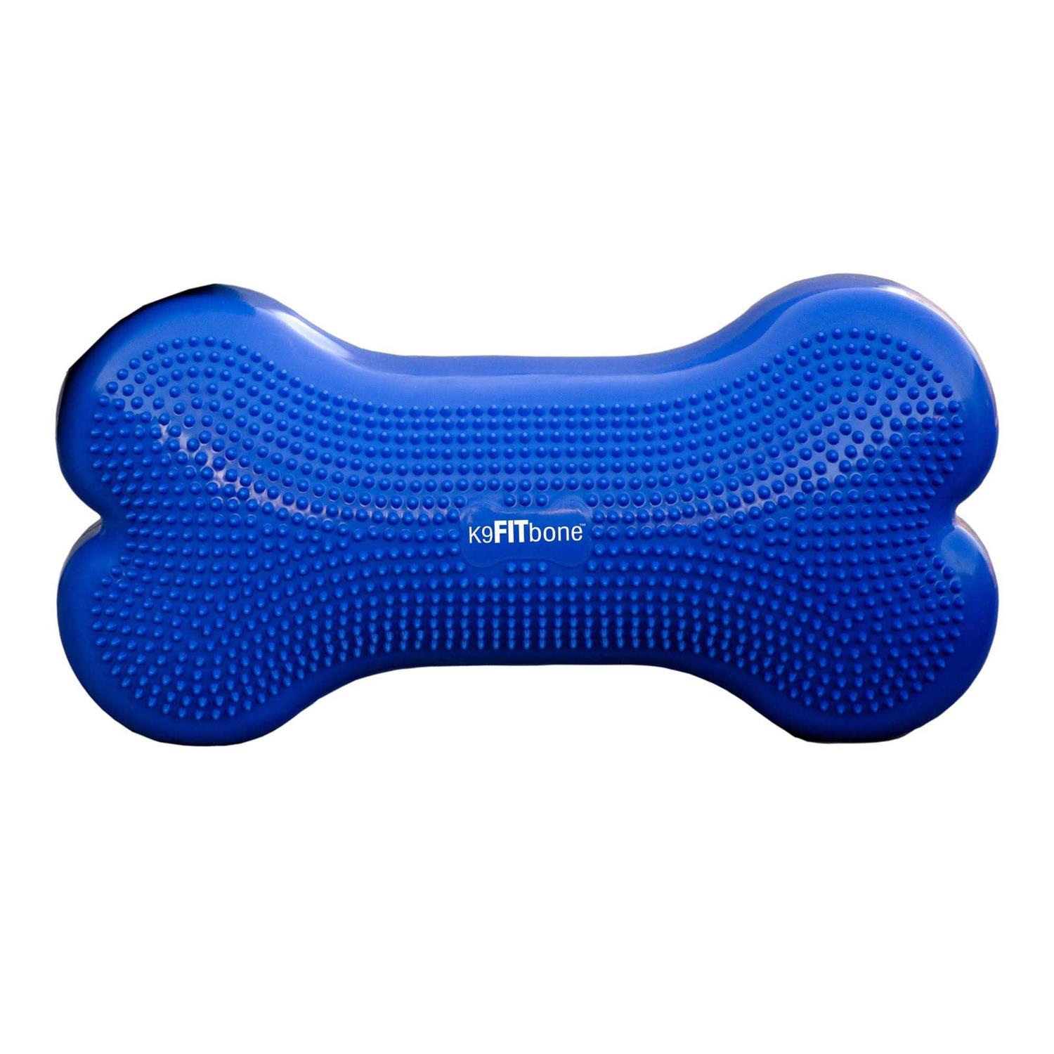 FitPAWS K9FITbone Agility Training - Healthber
