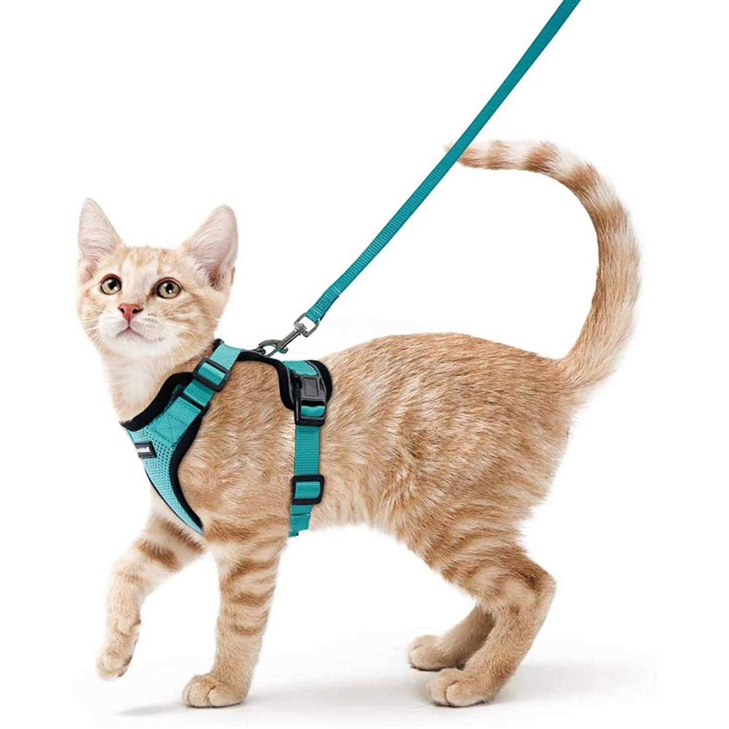 Rabbitgoo Cat Harness and Leash for Walking Escape Proof Soft Adjustable Vest Harnesses for Cats - Healthber