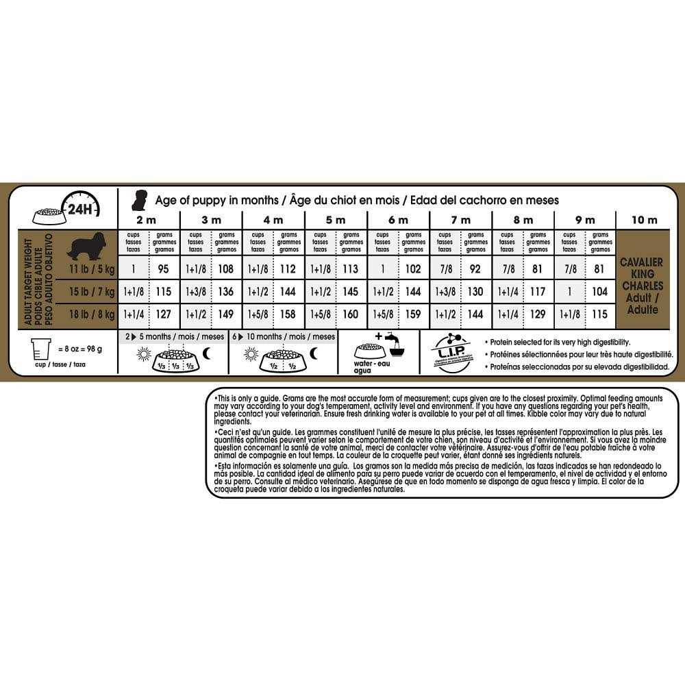 Royal Canin Breed Health Nutrition Cavalier King Charles Puppy Dry Dog Food - Healthber