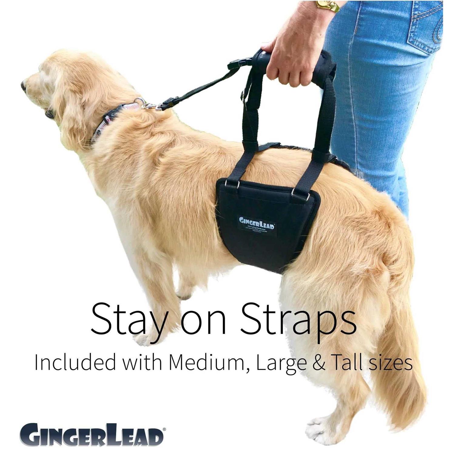 GingerLead Dog Support Rehabilitation Harness - Healthber
