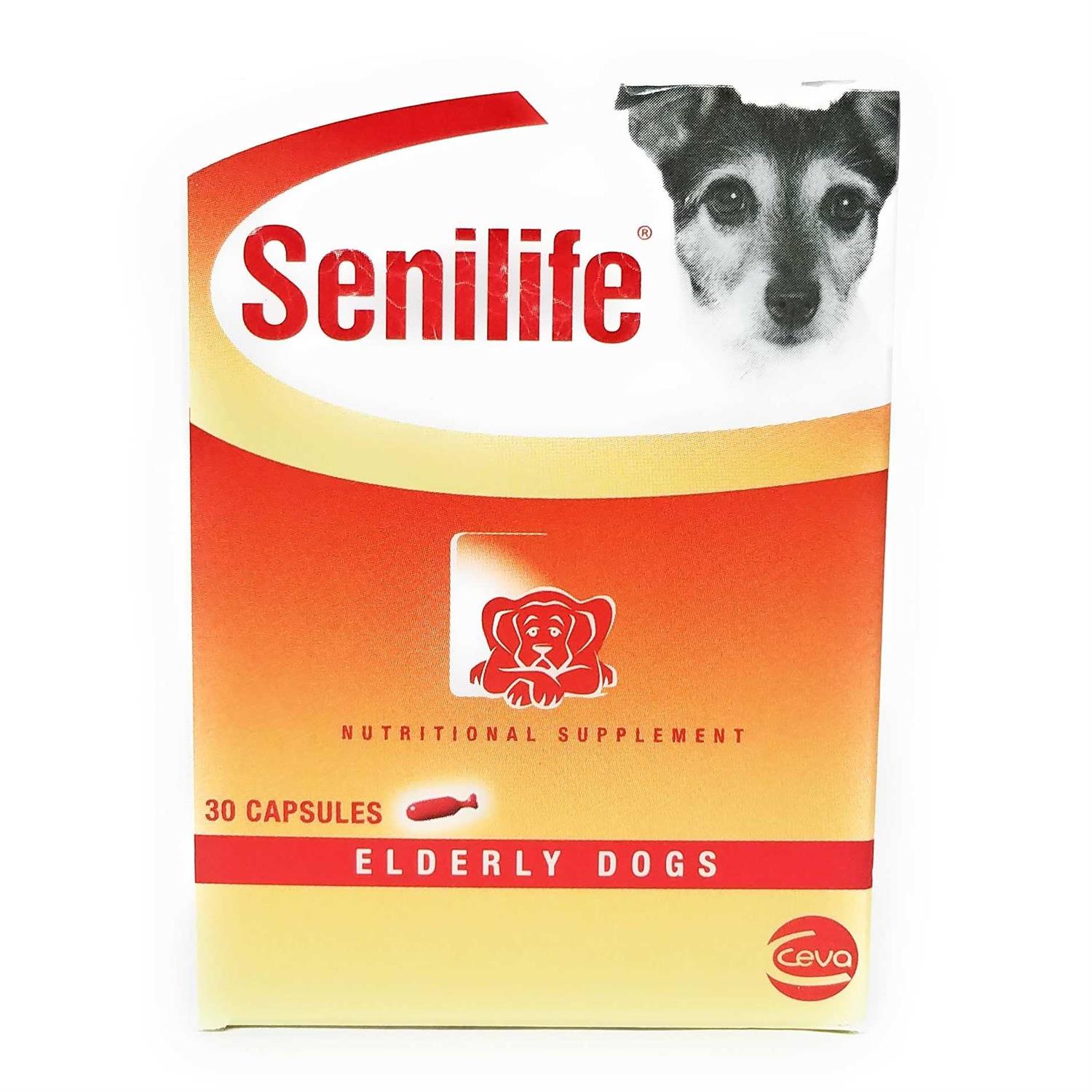 Ceva Animal Health D59010b Senilife Nutritional Supplement for Elderly Dogs - Healthber