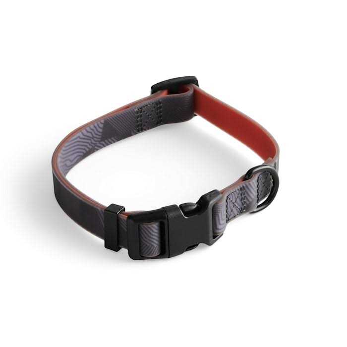 Backcountry x Petco The Dog Collar - Healthber