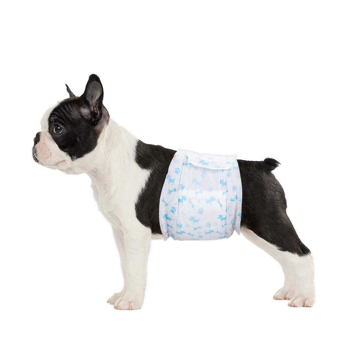 Flying Paws Male Dog Diapers Absorbent Male Dog Wraps Belly Bands for Male Dogs with Leak Protection, Excitable Urination, Incontinence, or Male - Healthber