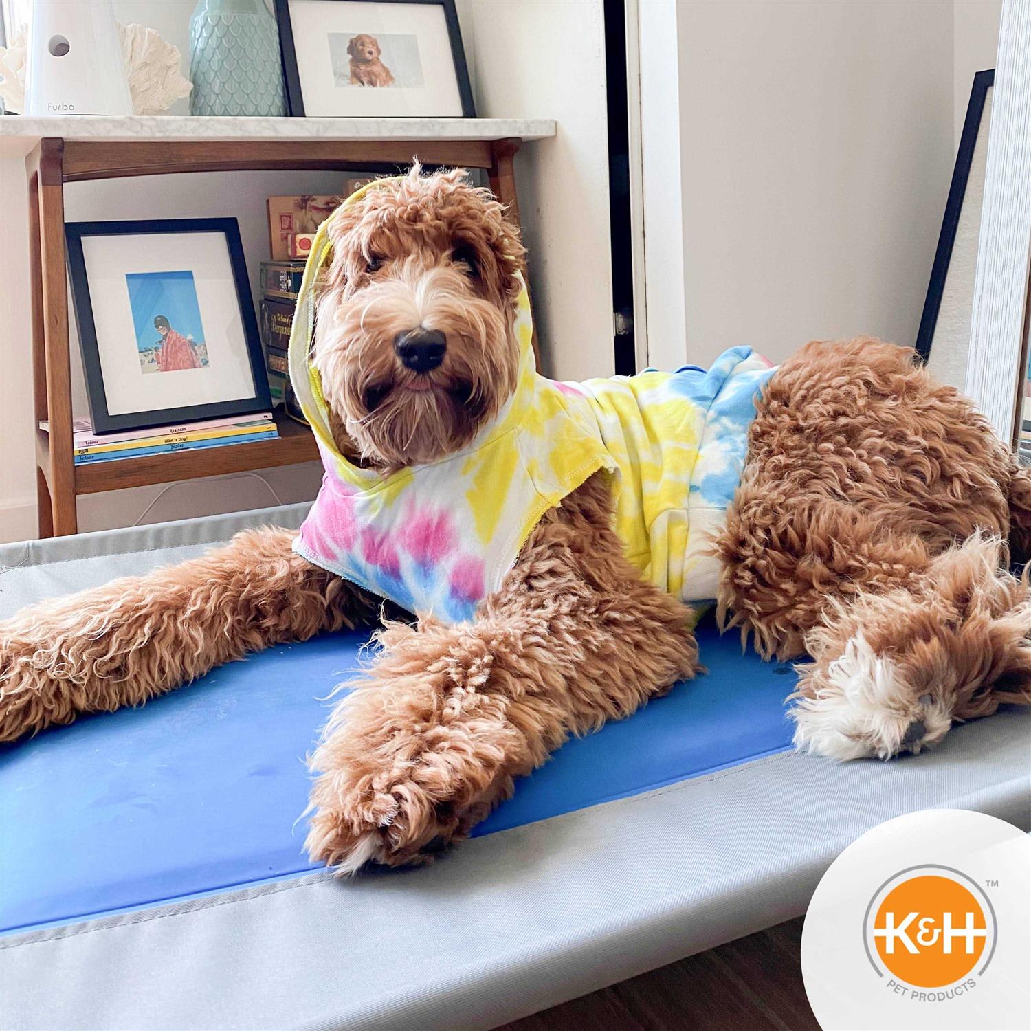 K H Pet Products Coolin’ Pet Cot - Healthber
