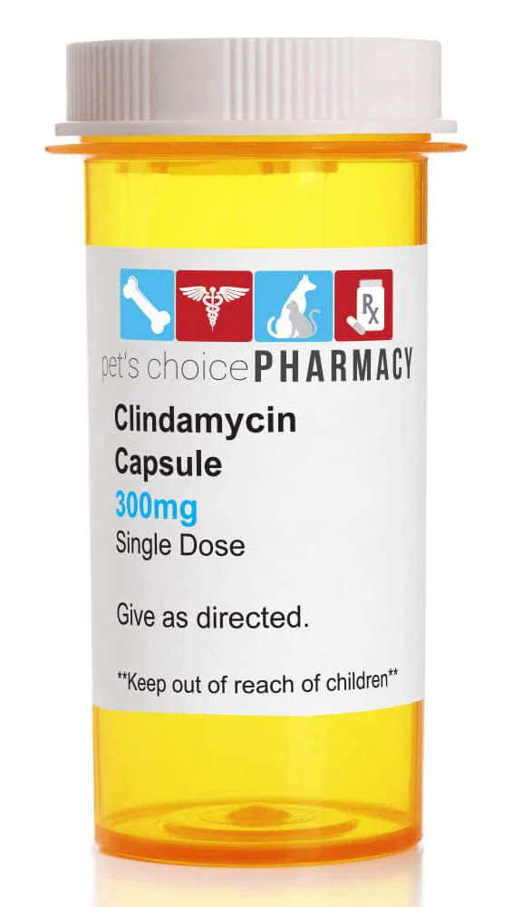 Rx Clindamycin HCl (Generic) Capsules for Dogs - Healthber