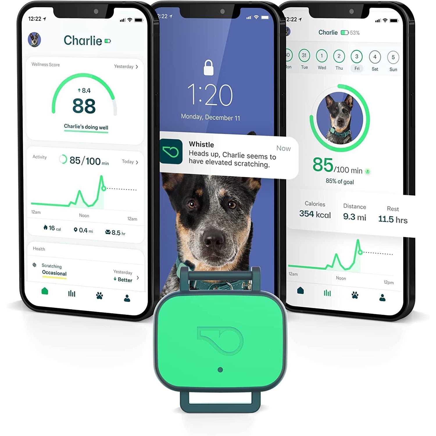 Whistle Dog Health & Fitness Tracker Smart Device - Healthber