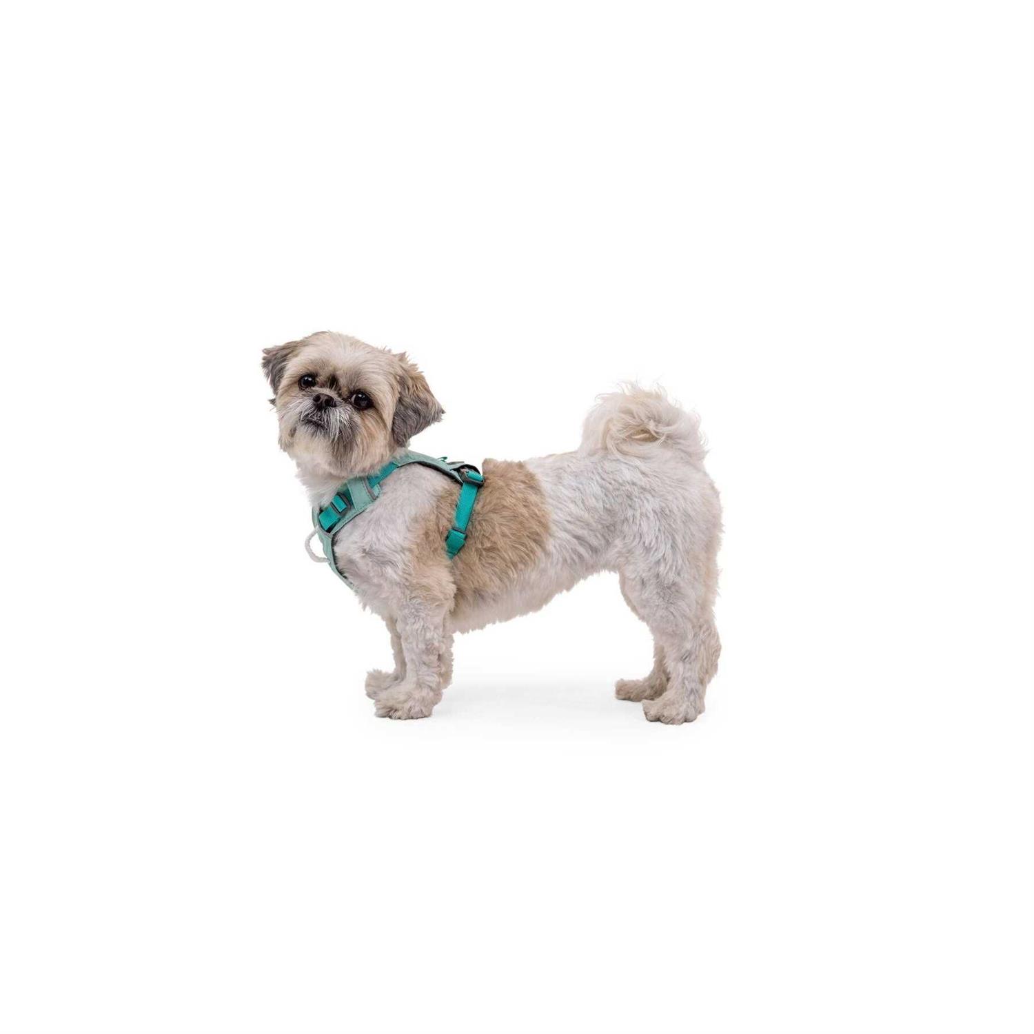 Ruffwear Hi & Light Dog Harness - Healthber