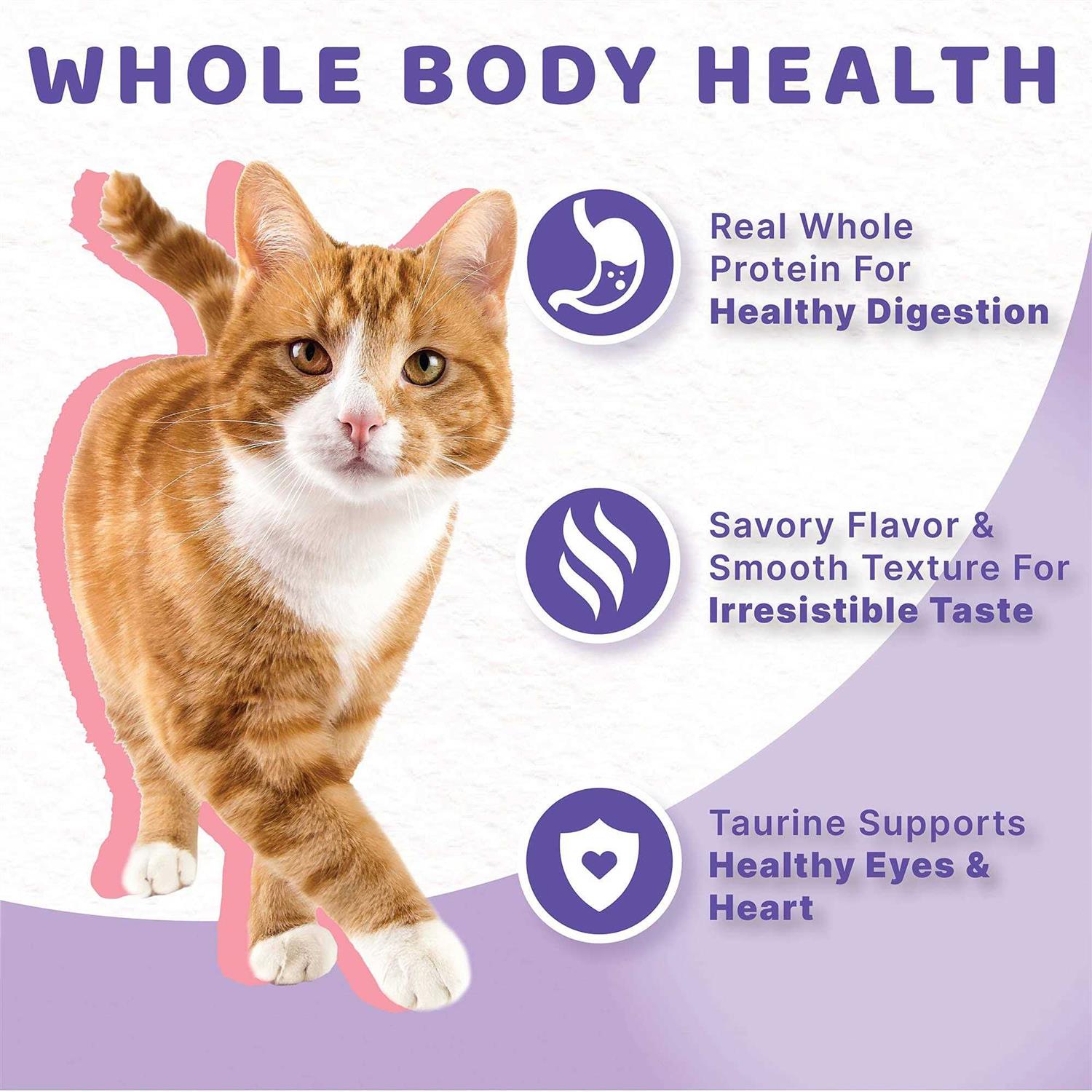 Halo Grain Free Salmon Stew Adult Cat Food - Healthber