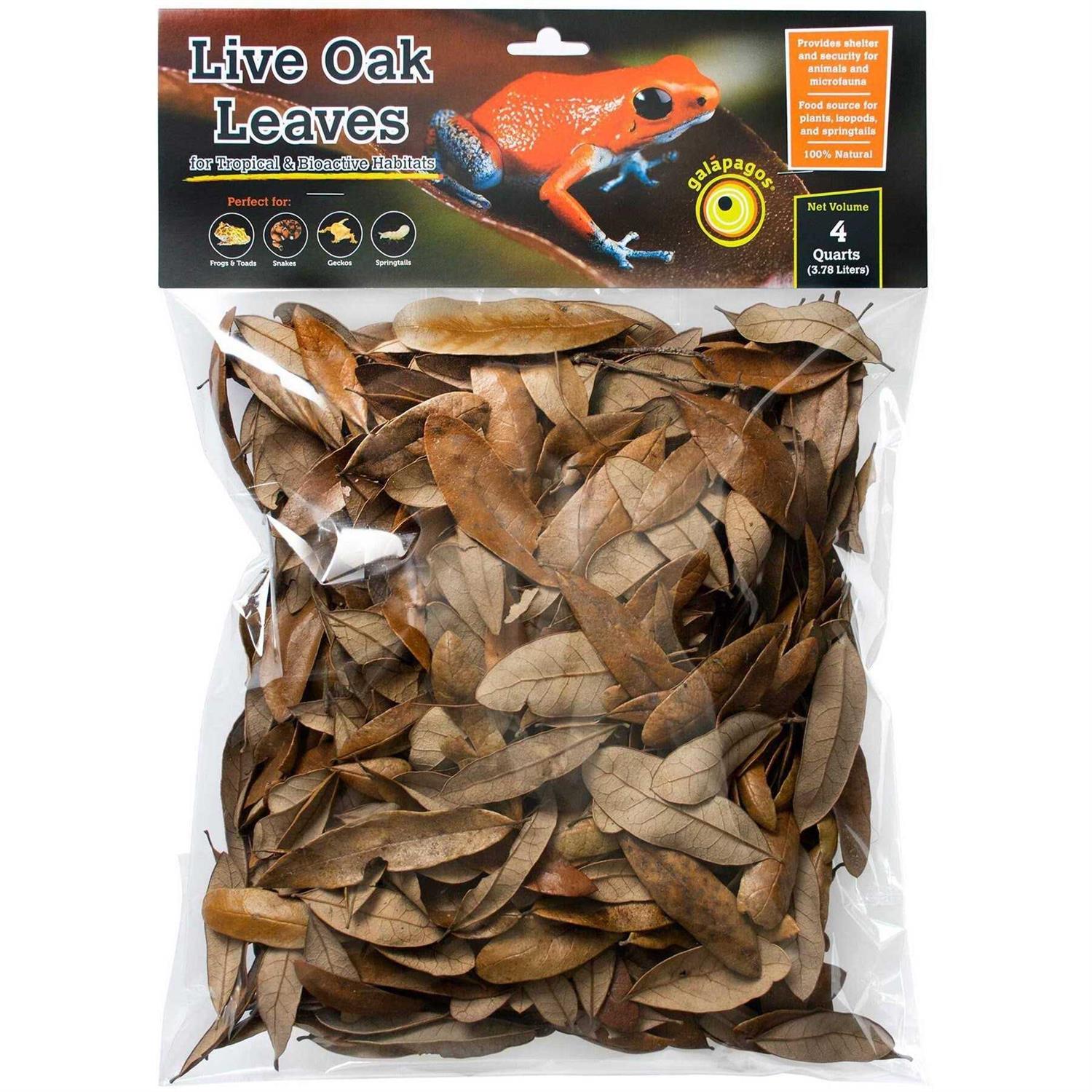 Galapagos 4 qt. Natural Live Oak Leaf Litter - Healthber