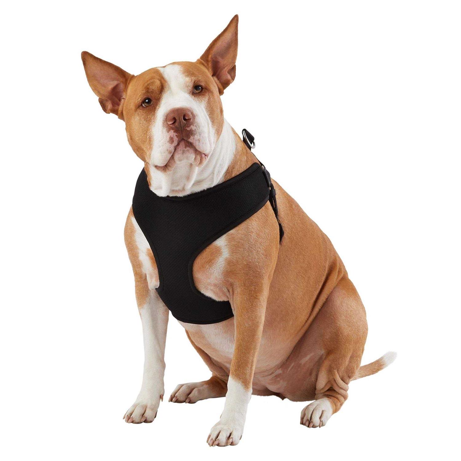 Top Paw Mesh Comfort Dog Harness - Healthber