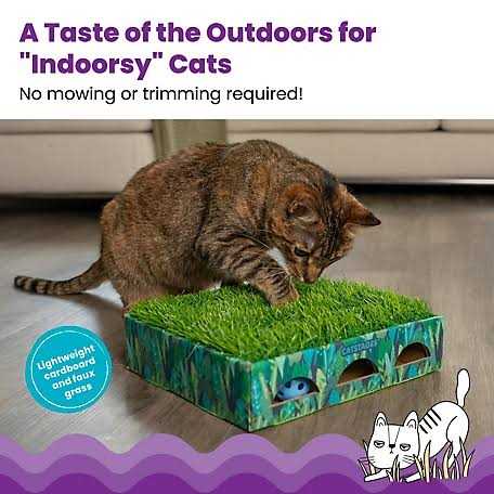 Catstages Grass Patch Hunting Box Cat Toy 71428 - Healthber