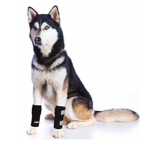 NeoAlly Pair Dog Front Leg Braces and Support Canine Front Leg Wrist Carpal - Healthber