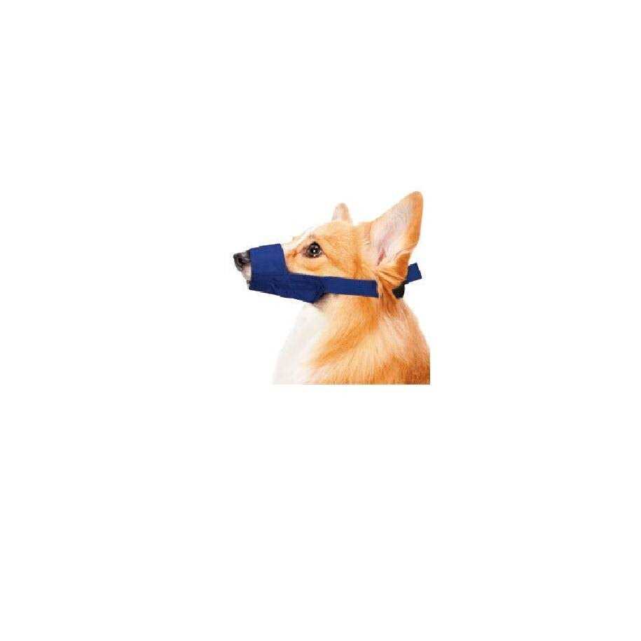 FOUR FLAGS Quick Muzzle - Healthber