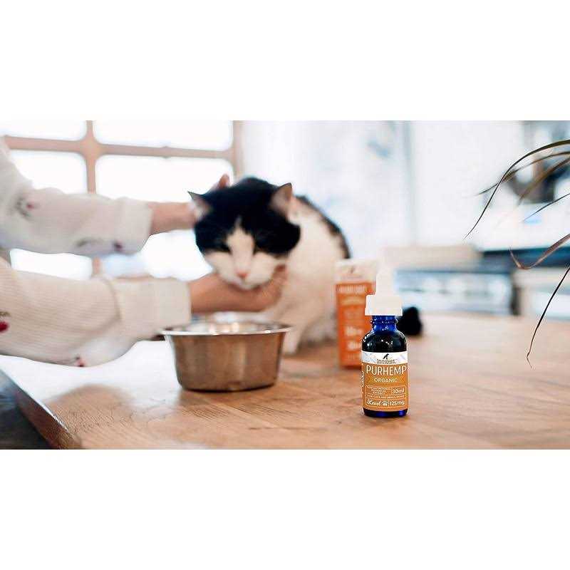 Hemp Oil for Dogs by Innovet Pet - Healthber