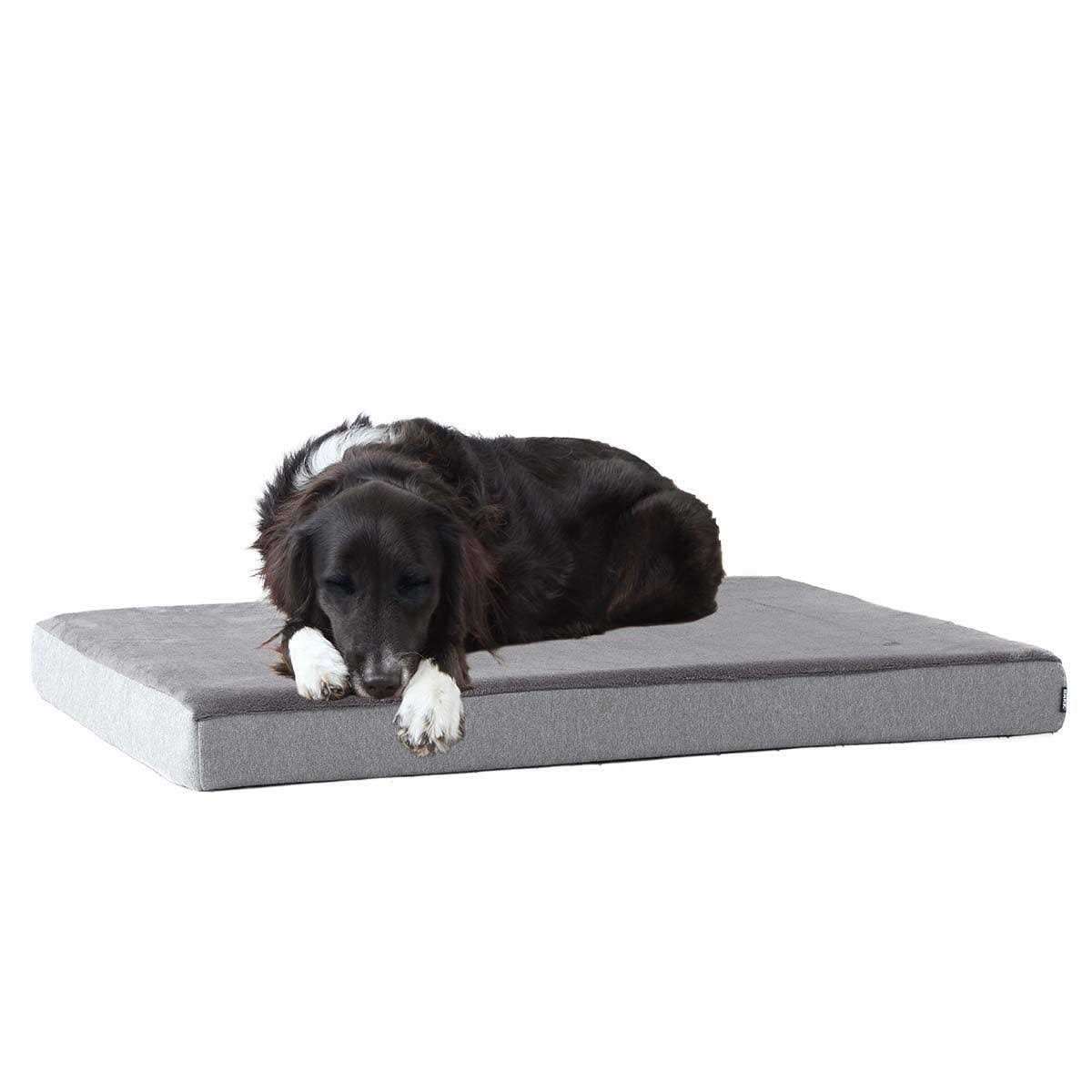 Barkbox Memory Foam Platform Dog Bed Plush Mattress for Orthopedic Joint Relief - Healthber