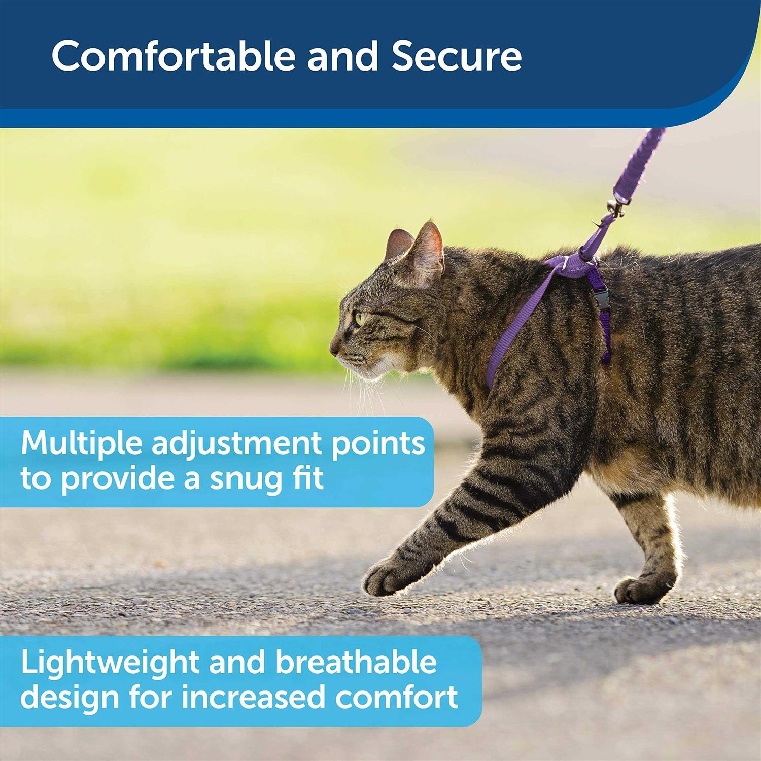 PetSafe Come with Me Kitty Harness Bungee Leash - Healthber