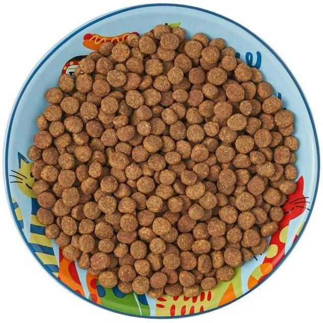 Frisco Non-skid Ceramic Cat Dish - Healthber
