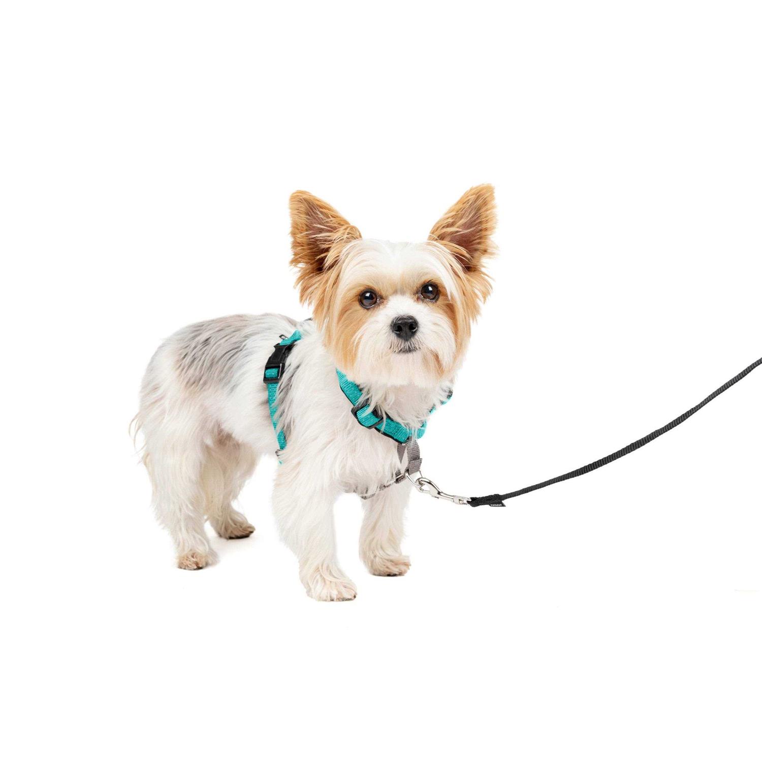 PetSafe 3 in 1 Harness - Healthber