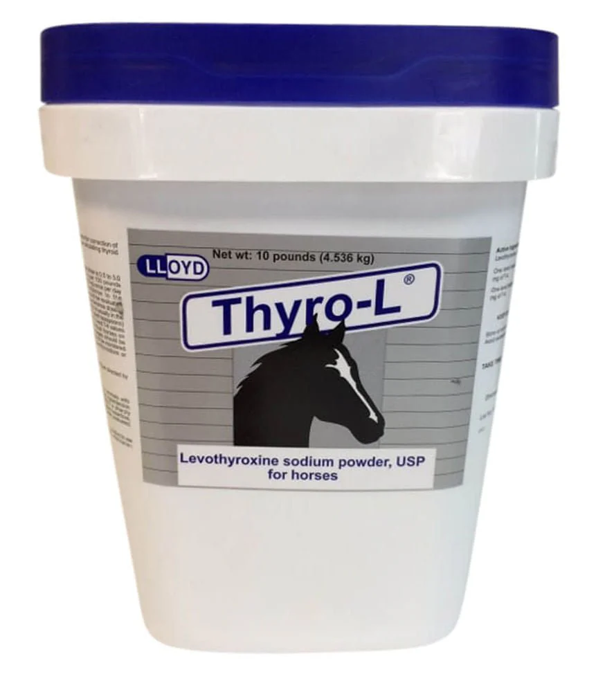 Rx Thyro-L (levothyroxine sodium) Powder for Horses - Healthber