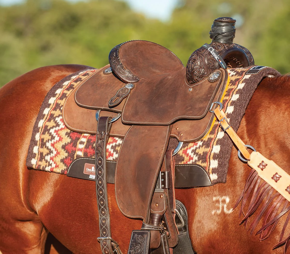 Classic Equine Wool Top Saddle Pad - Healthber
