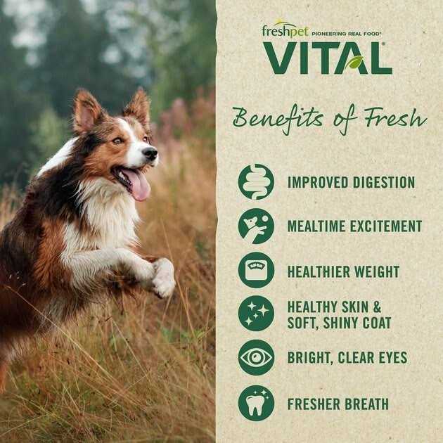 Freshpet Vital Complete Meals Grain-Free Chicken Fresh Small Breed Dog Food - Healthber