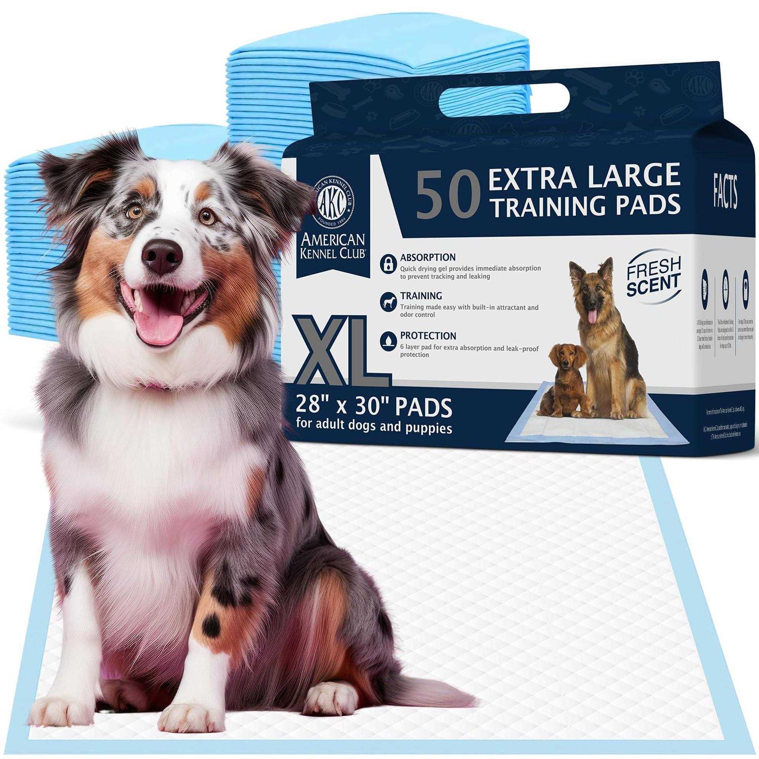 American Kennel Club Training Pads - Healthber
