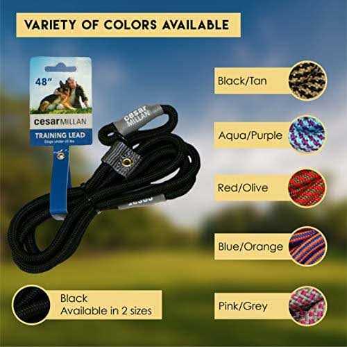 Cesar Millan Slip Lead Leash 2-in-1 Slip Collar Dog Training Lead & Collar - Healthber