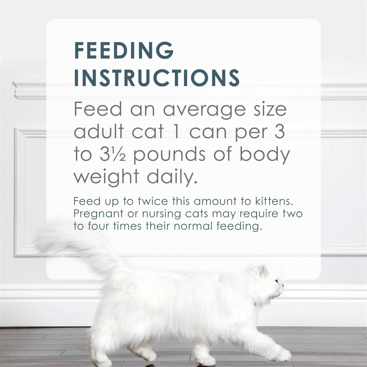 Fancy Feast Classic Salmon & Shrimp Feast Cat Food - Healthber