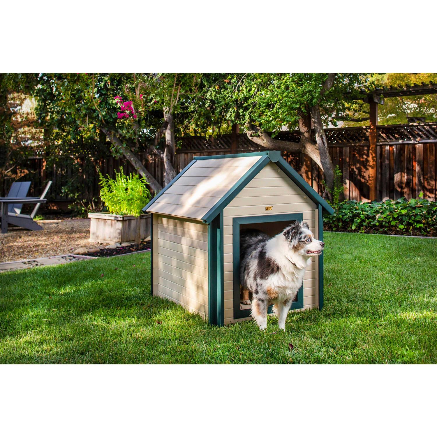New Age Pet EcoFLEX Bunk House - Healthber
