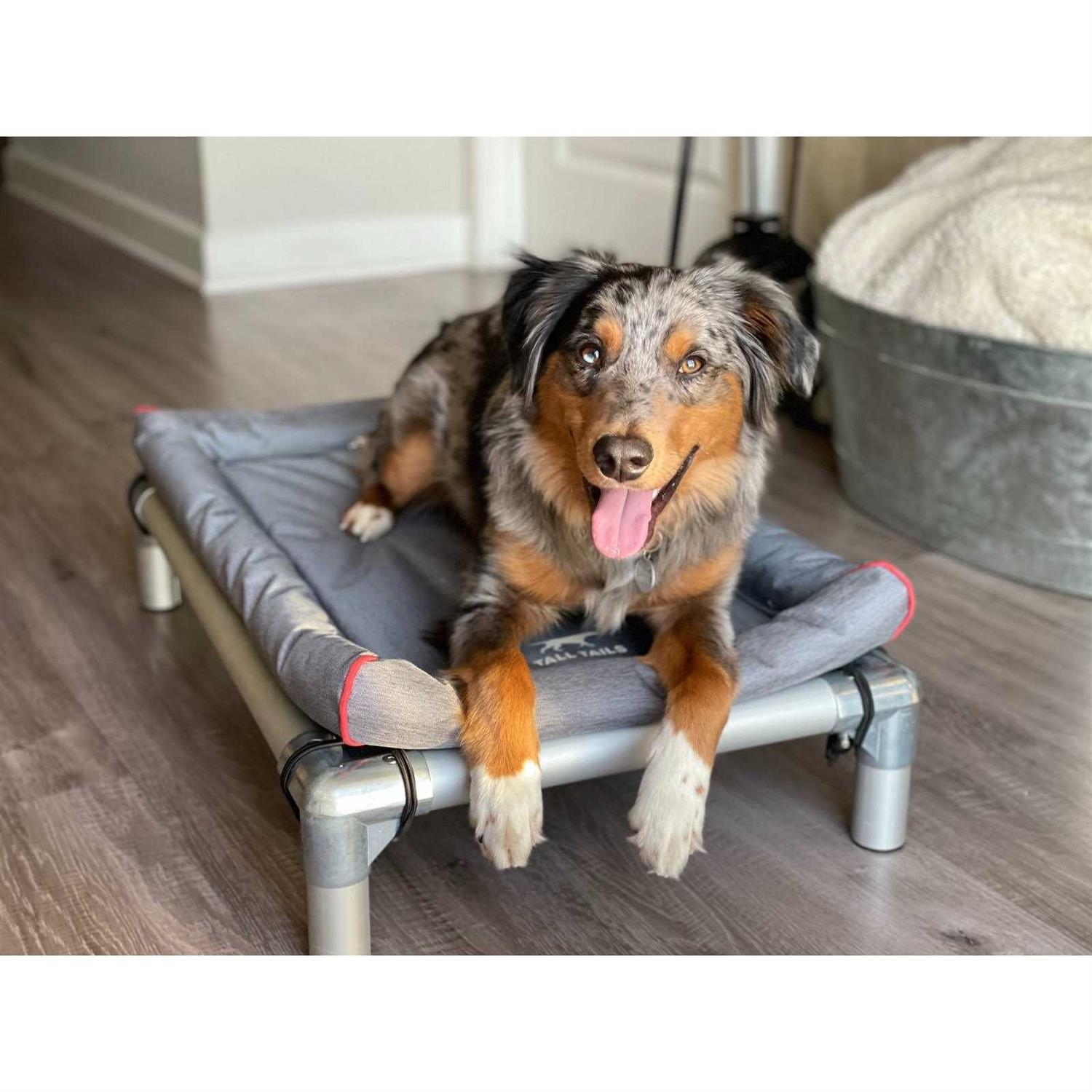 Tall Tails Dream Chaser Crate Dog Bed - Healthber
